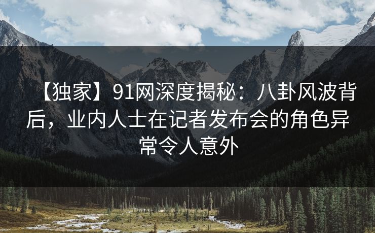 【独家】91网深度揭秘：八卦风波背后，业内人士在记者发布会的角色异常令人意外