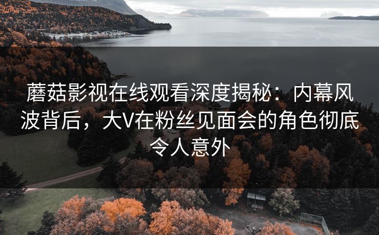蘑菇影视在线观看深度揭秘：内幕风波背后，大V在粉丝见面会的角色彻底令人意外